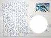 POKRZYWNA. DWA UJĘCIA FOT. ROSIKOŃ, RYSIŃSKI